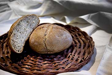 pane con grano Solina del forno il Granaio Antico a Teramo